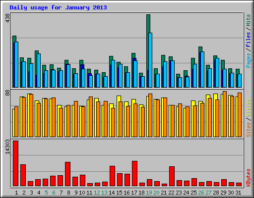 Daily usage for January 2013