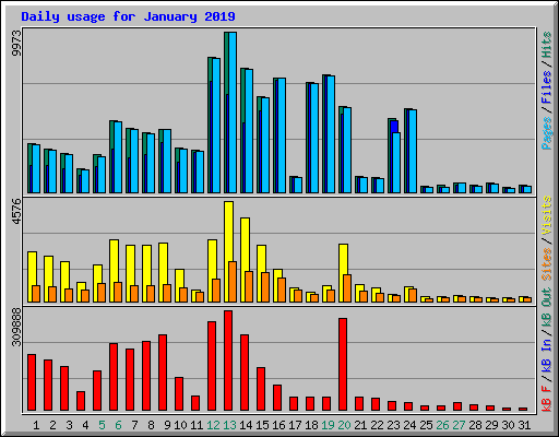 Daily usage for January 2019