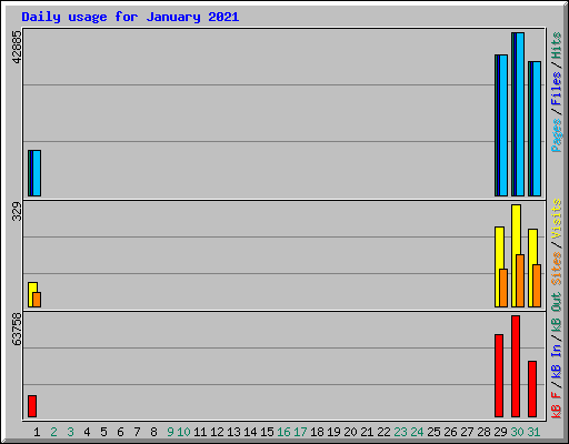 Daily usage for January 2021