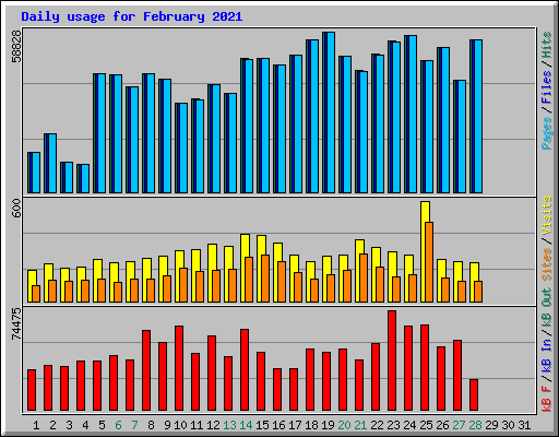 Daily usage for February 2021