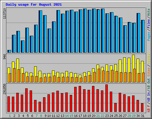 Daily usage for August 2021