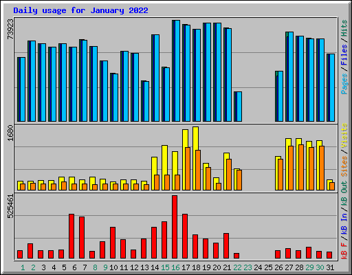 Daily usage for January 2022