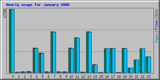 Hourly usage for January 2008