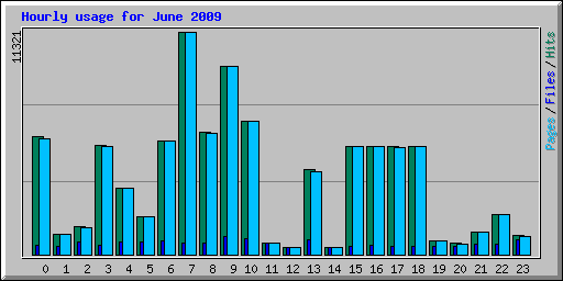 Hourly usage for June 2009