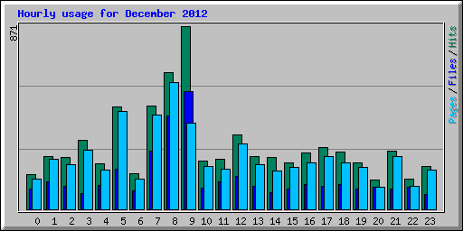 Hourly usage for December 2012