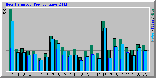 Hourly usage for January 2013