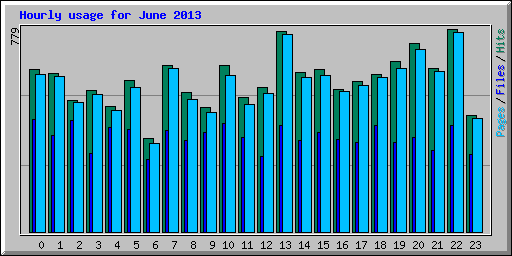 Hourly usage for June 2013