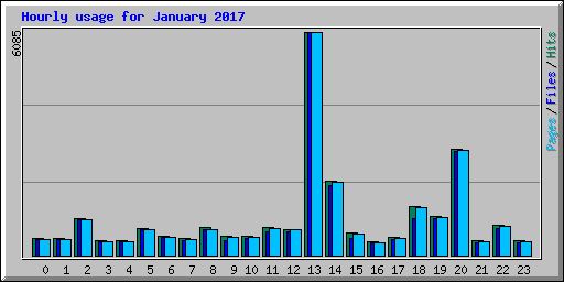 Hourly usage for January 2017