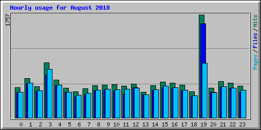 Hourly usage for August 2018