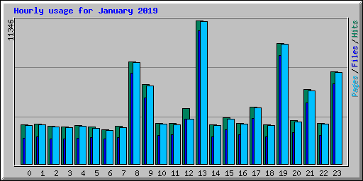 Hourly usage for January 2019