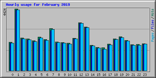 Hourly usage for February 2019