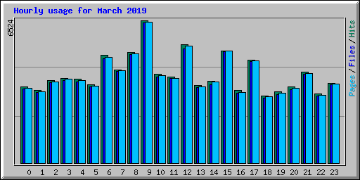 Hourly usage for March 2019