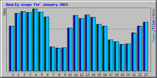 Hourly usage for January 2021