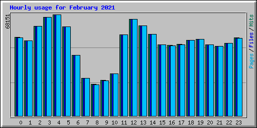 Hourly usage for February 2021