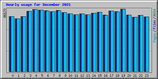 Hourly usage for December 2021