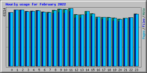 Hourly usage for February 2022