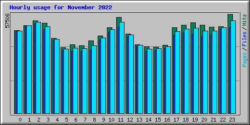 Hourly usage for November 2022
