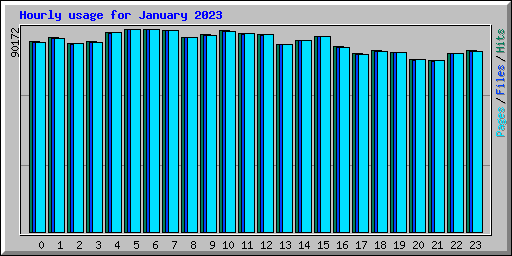 Hourly usage for January 2023