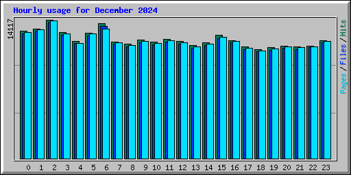 Hourly usage for December 2024