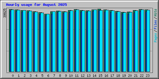 Hourly usage for August 2025