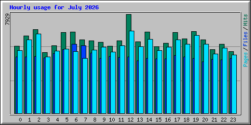 Hourly usage for July 2026